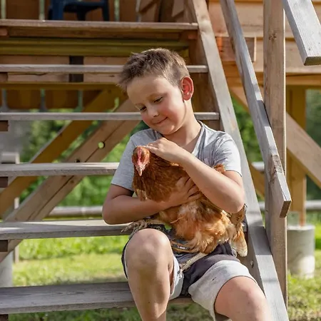 Stembergerhof - Urlaub Am Bauerhof Séjour à la ferme Liesing