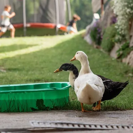 Stembergerhof - Urlaub Am Bauerhof *