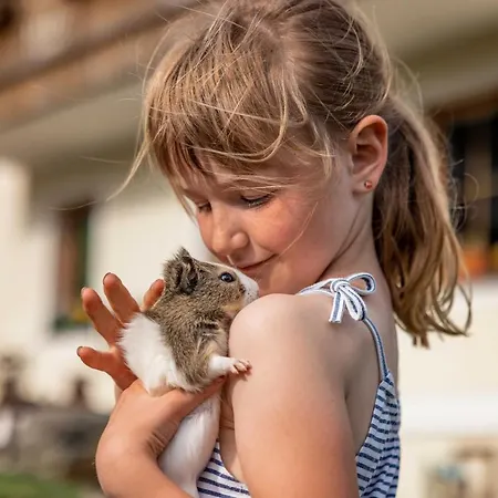 Stembergerhof - Urlaub Am Bauerhof Séjour à la ferme *