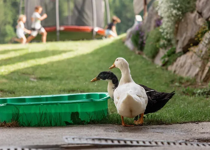 Stembergerhof - Urlaub Am Bauerhof *