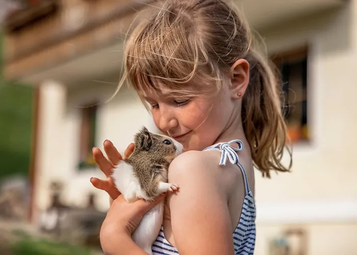 Stembergerhof - Urlaub Am Bauerhof Farm stay *