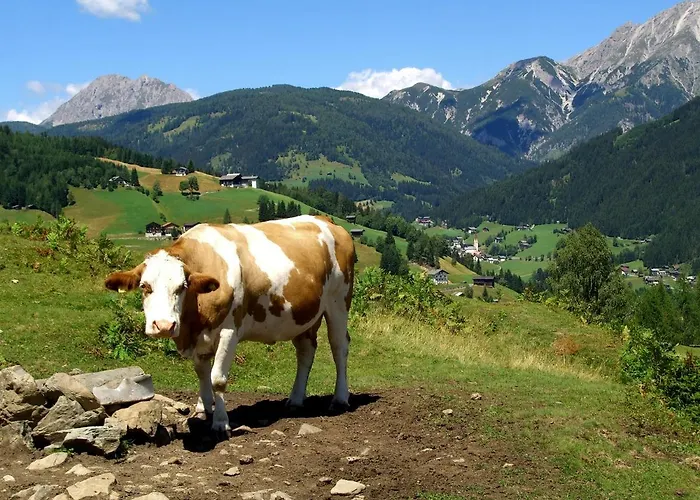 Farm stay Stembergerhof - Urlaub Am Bauerhof Liesing